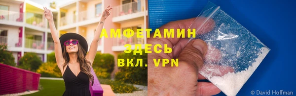 jwh Ельня