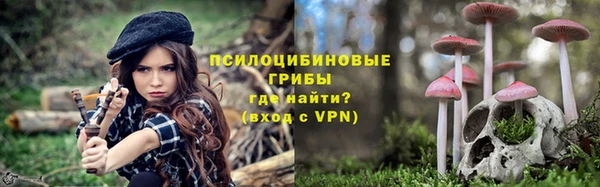 винт Елизово