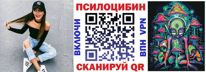 Псилоцибиновые грибы MAGIC MUSHROOMS  купить  цена  mega tor  Зеленодольск 